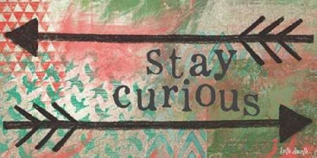 Stay Curious Canvas Art - Katie Doucette (10 x 20)