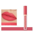 Stay on Lipstick 24 Hour Clear Gloss Lip Plumper Lip Lip Gloss Clear