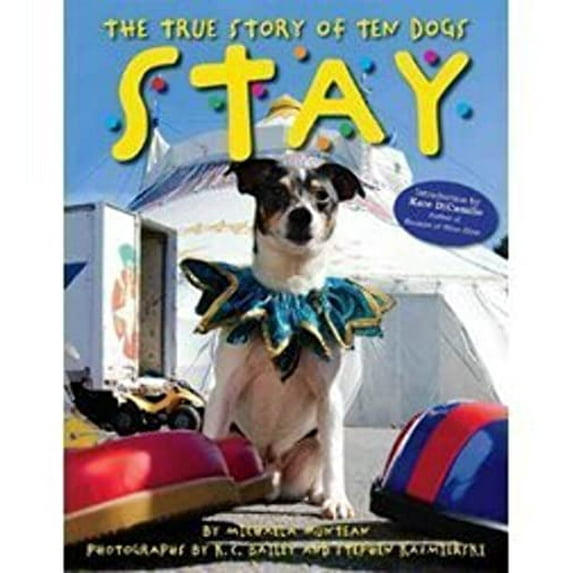 Pre-Owned Stay, The True Story of Ten Dogs (Paperback) (Paperback) 0545439574 9780545439572