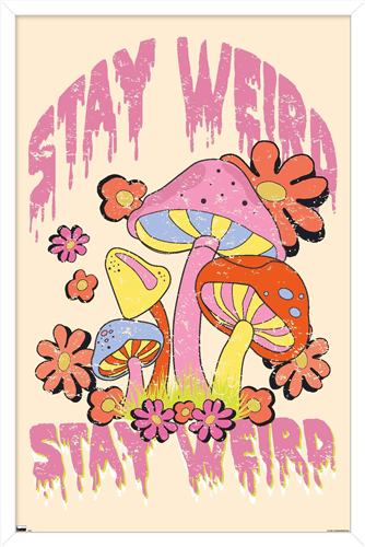 Stay Weird Normal is Boring Wallpaper by Chilling Nation  Society6