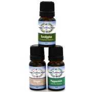 Stay Well Essential Oil Gift Set- Ginger, Peppermint, Eucalyptus