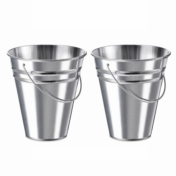 Stcellnmex 2 Pcs Metal Buckets with Handle 4.5x5 Inch Galvanized Basket for Party Crafts Vase Silver