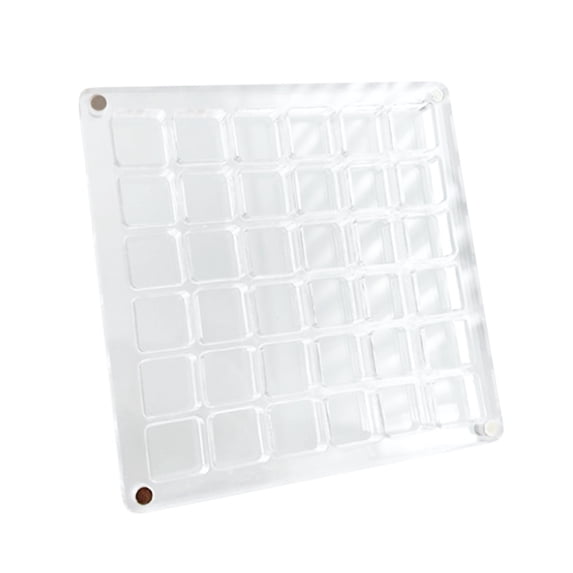 Steadline Acrylic Magnetic Seashell Display Case - Transparent Collectible Storage Box with Secure Closure - Beach Souvenir Organizer for Small Treasures - Multi-Purpose Jewelry Case