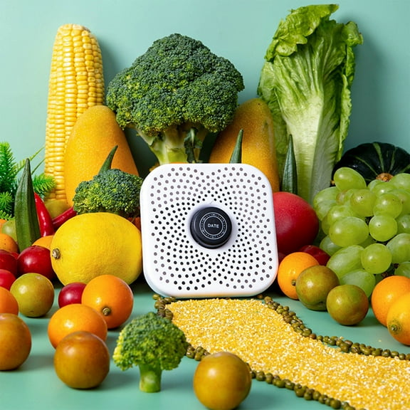 Steadline Activated Charcoal Refrigerator Deodorizer with Magnetic Back - Reusable Odor Eliminator for Fresh Food Storage