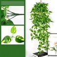 thumbnail image 1 of Steadline Artificial Pothos Wall Hanging with Realistic Leaf Texture Indoor Home Decoration Green Vine Display Flexible Shape Adjustment No Watering Needed Long Lasting, 1 of 8