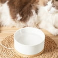 thumbnail image 1 of Steadline Ceramic Pet Water Bowl with USB Powered Constant Temperature Heating Automatic Thermostatic Water Dispenser and Warm Drinking Fountain for Cats Dogs During Winter Season and Cold Days, 1 of 7