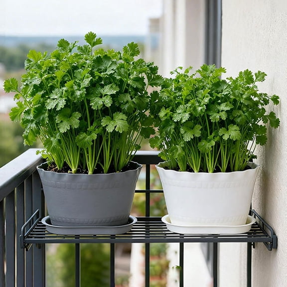 Steadline Flower Planter Pot,Wave Rim Plant Container With Drainage Holes And Matching Tray,Planting Vessel For Fleshy-Leaved Herb Small Bloom On Balcony Windowsill Courtyard(Gray)