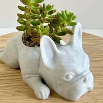 Steadline Resin Dog Planter - Cute Puppy Shaped Plant Flower Pot - Mini Bonsai Container for Home Garden Office Decor - White Decorative Gift Idea for Plant Lovers