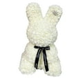 thumbnail image 1 of Steadline Simulated Rose Bunny Plush Romantic Valentine's Day Gift for Her with Foam Material Unique Cuddle Toy Present for Birthday Anniversary Celebration, 1 of 7