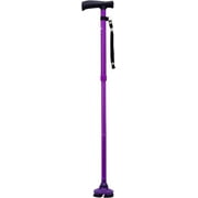 SteadyCane Self-Standing Cane 4 Feet and Light Hurry Before They are Gone - Best Walking Cane - As Seen On TV Cane - Foldable - Adjustable - Wrist Strap
