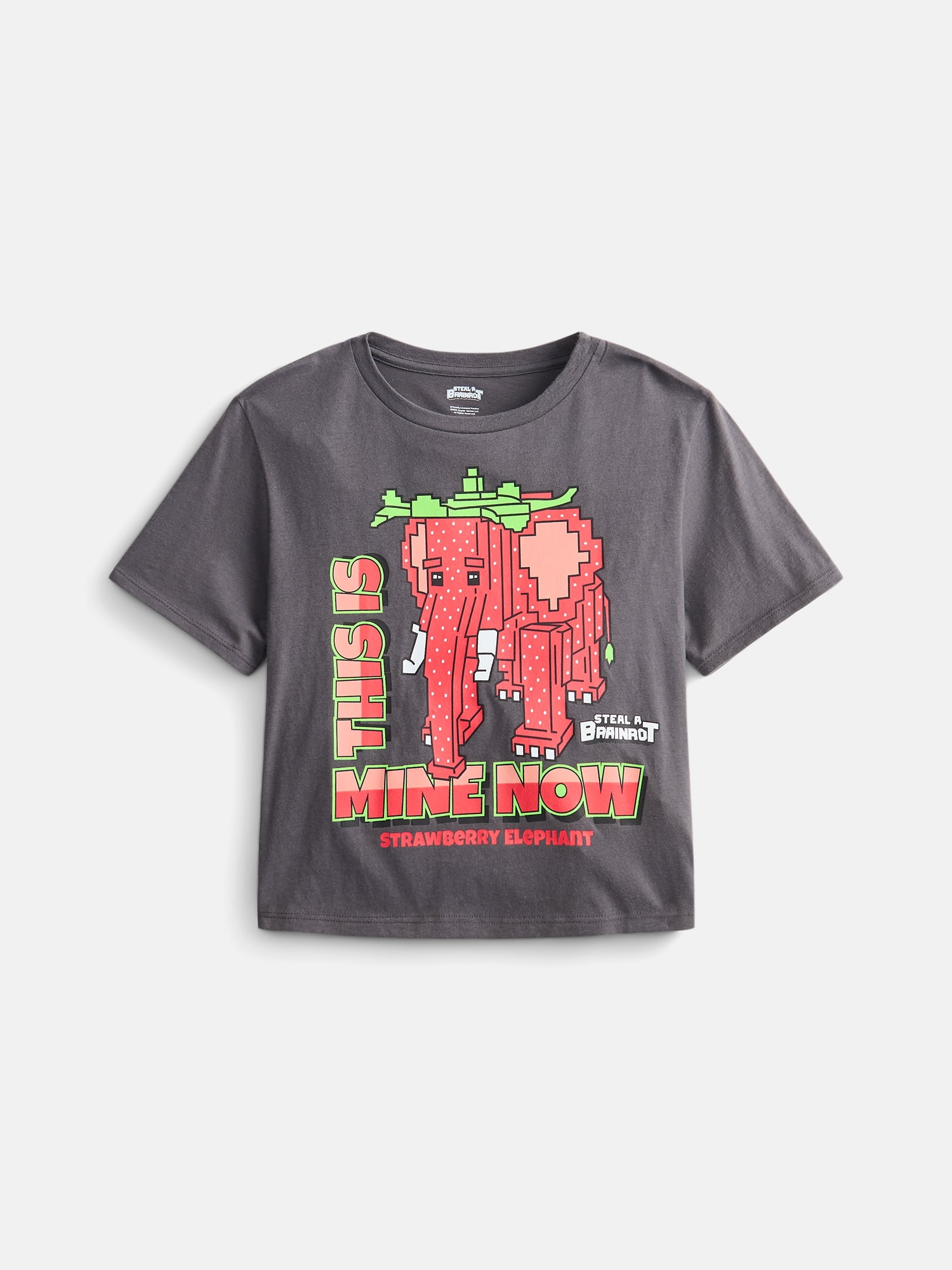 Roblox "Steal a Brainrot" Girls' Short Sleeve Graphic T-Shirt, Sizes 4-18