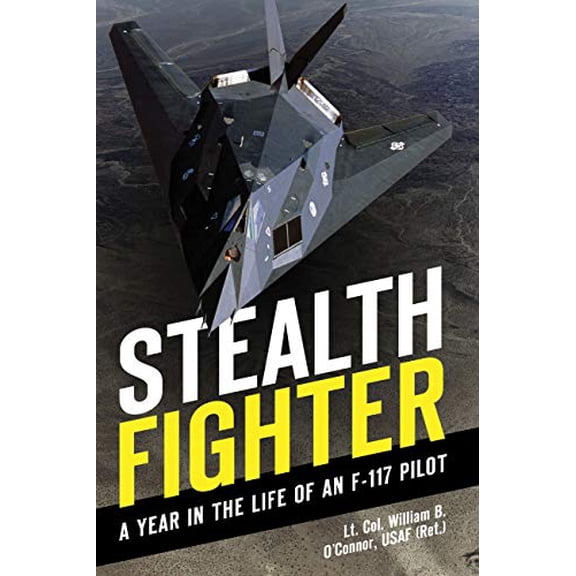 Stealth Fighter : A Year in the Life of an F-117 Pilot