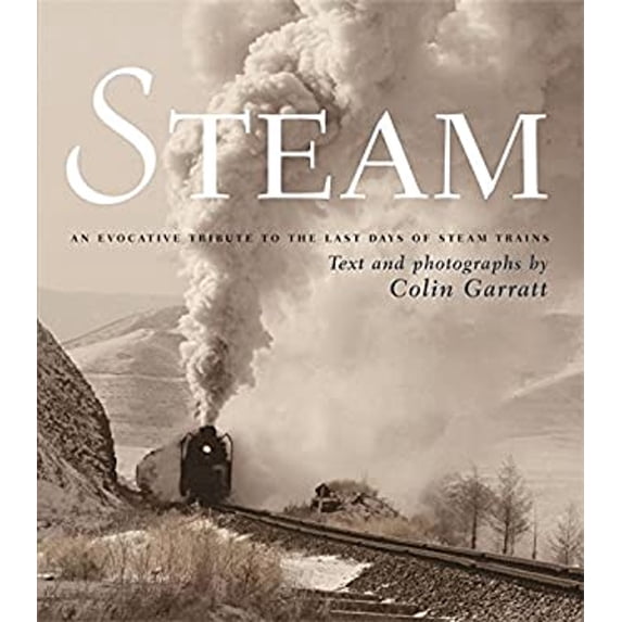 Pre-Owned Steam (Hardcover) 0753713993 9780753713990