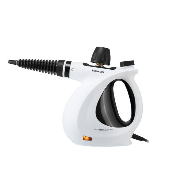 Steam Cleaner- Medusa Clean