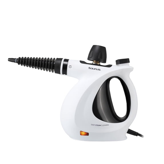 Steam Cleaner- Medusa Clean