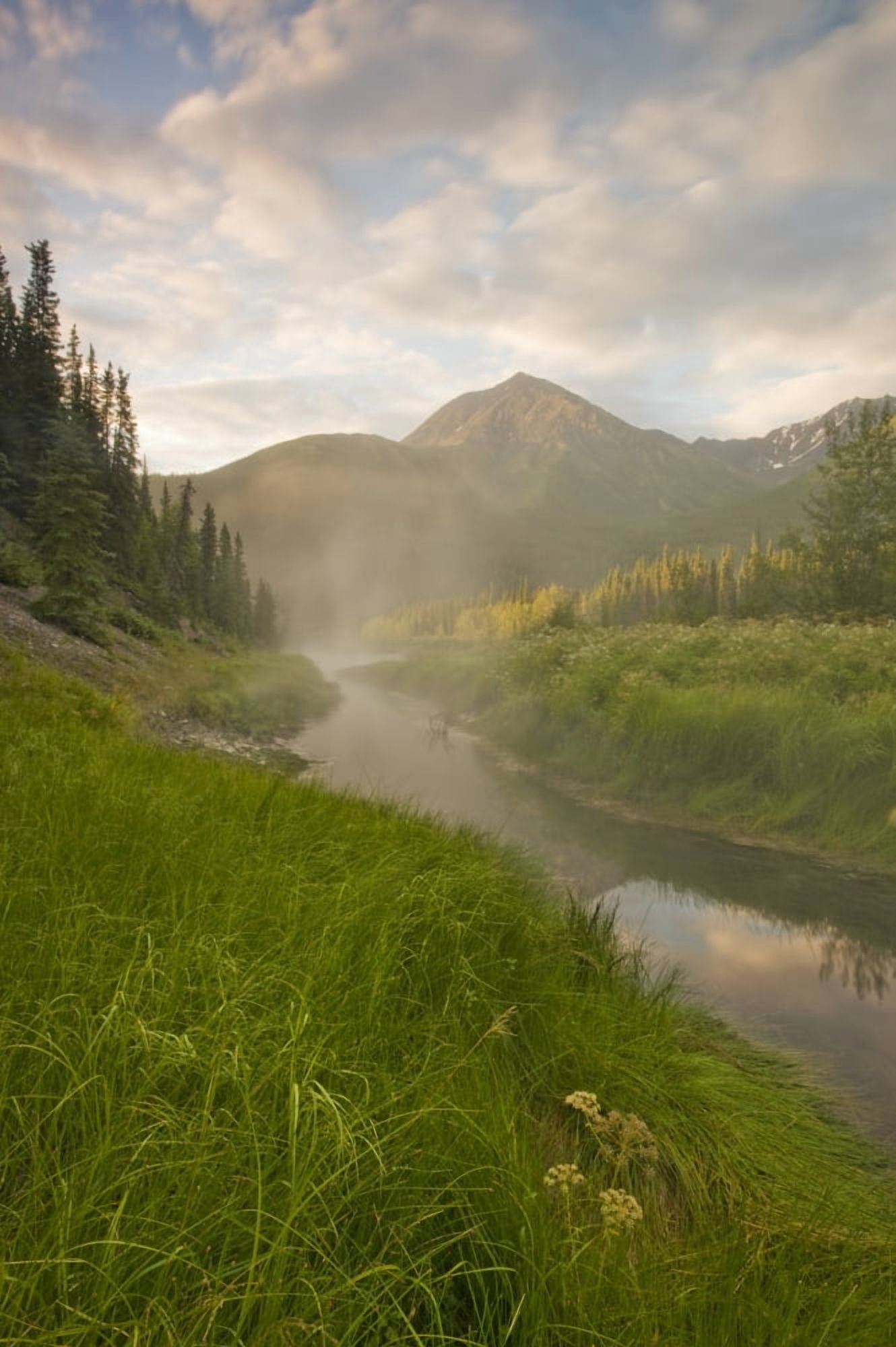 Steam Rising From Moores Hot Springs With Lush Grass In Foreground Nahanni National Park Northwest Territories Canvas Art - Peter Mather Design Pics (11 x 17)