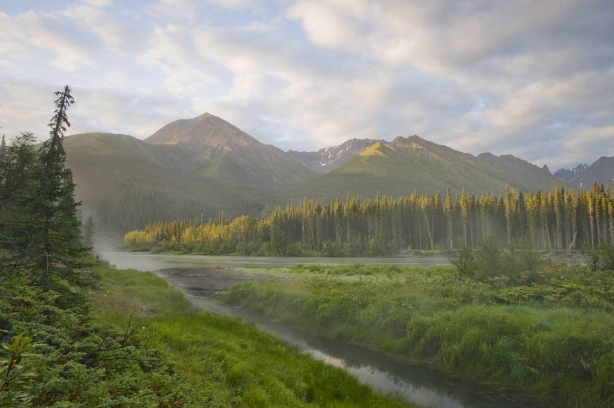 Steam Rising From Moores Hot Springs With Lush Grass In Foreground Nahanni National Park Northwest Territories Canvas Art - Peter Mather Design Pics (17 x 11)