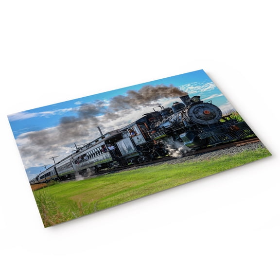 Steam Train Door Mat Railways Trees Landscape Modern Non Slip Absorbent Entrance Mat Washable Low Profile Indoor Doormat for Front Door Entryway Entry 16"x24"
