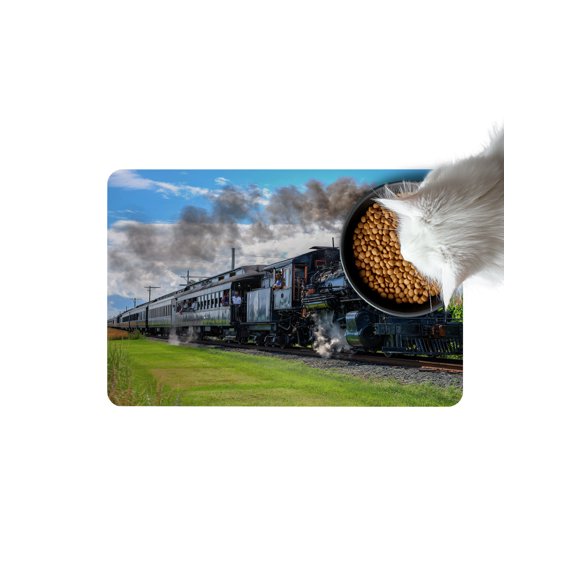 Steam Train Doormat Non Slip Diatomaceous Earth Door Mat Absorbent Quick Dry Soft Washable Entrance Rug for Bathroom Laundry Room 24"x36"