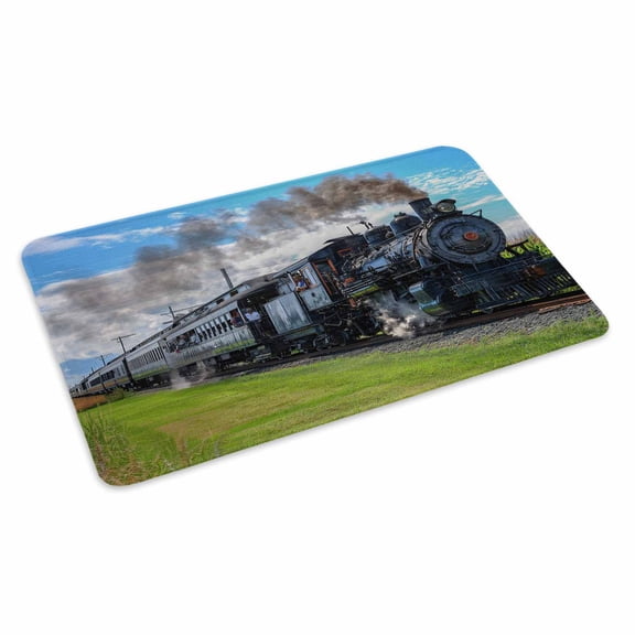 Steam Train Doormat Railways Trees Landscape Modern Non Slip Low Profile Rubber Door Mat Washable Absorbent Indoor Front Door Mat Entryway Rug Entrance Carpet 16x24 Inch