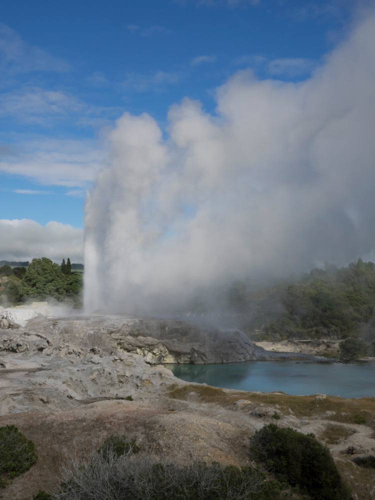 Steam erupting from geyser Pohutu Geyser Whakarewarewa Thermal Park Whakarewarewa Rotorua Bay of Plenty North Island New Zealand Canvas Art - Panoramic Images (24 x 36)