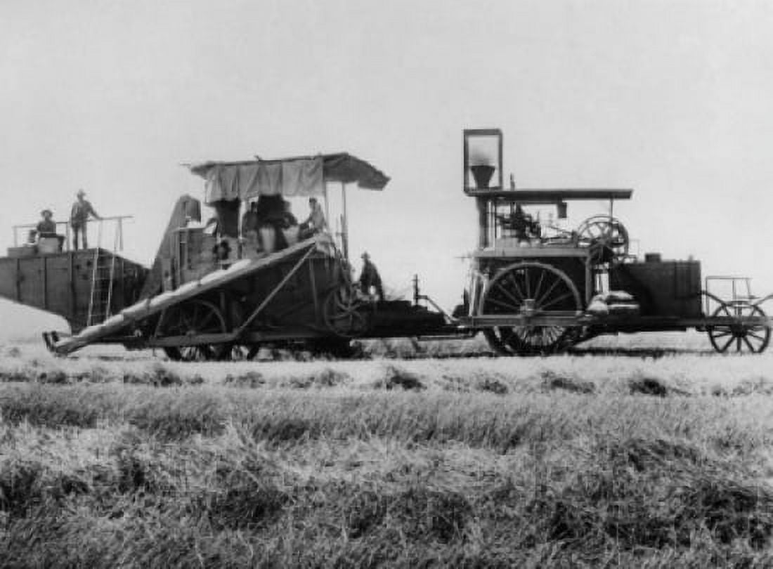 Steam tractor pulling a combine in a field Canvas Art - (18 x 24)
