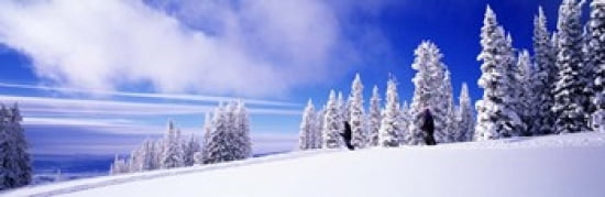 Steamboat Springs Colorado USA Canvas Art - Panoramic Images (36 x 12)
