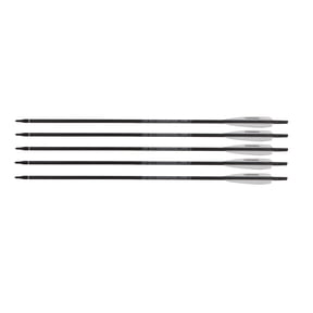 Steambow FENRIS Arrows, Set of 5, Black
