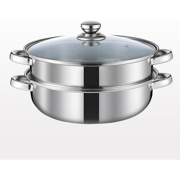 5.0-Quart Steamer Pot with Lid, 2-Tier Stainless Steel Cooking Pot for Vegetables Soups Pasta, Multipurpose Steam Cookware with Handle