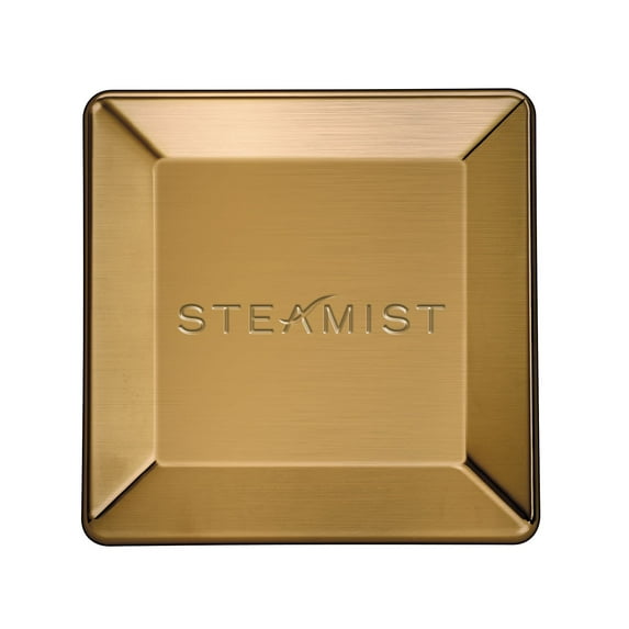 Steamist 3199 Universal Steam Head - Bronze