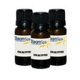 thumbnail image 1 of Steamspa G-Oileuc3 Eucalyptus Aromatherapy Essential Oil For Steam Shower System, 1 of 1