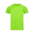 thumbnail image 1 of Stedman Mens Active Raglan Mesh T-Shirt, 1 of 4