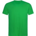 thumbnail image 1 of Stedman Mens Lux T-Shirt, 1 of 4