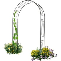 Steel Arbor Arch Garden Arch Trellis Black Metal Arbor for Climbing Plants