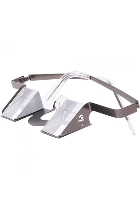 Steel Frame Belay Glasses, Grey