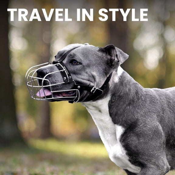 Steel Metal Wire Basket Muzzle for Pitbull/Amstaff - Adjustable Leather Straps - Ideal for Large Dogs