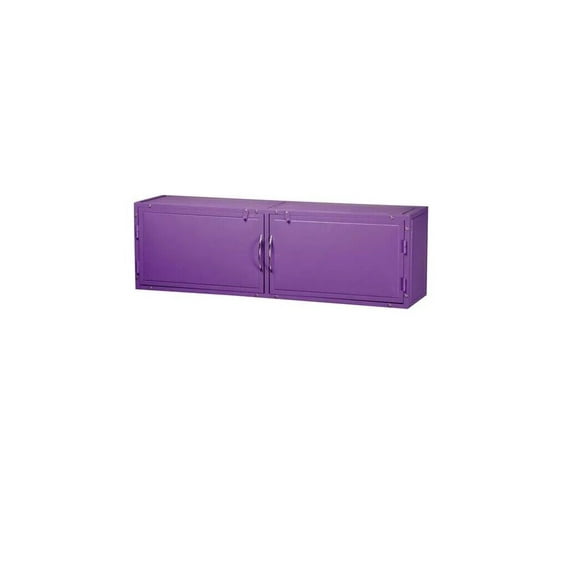 Steel Overhead Cabinet for Groomer Barber Stylist or Just Great Workshop Storage (Purple)