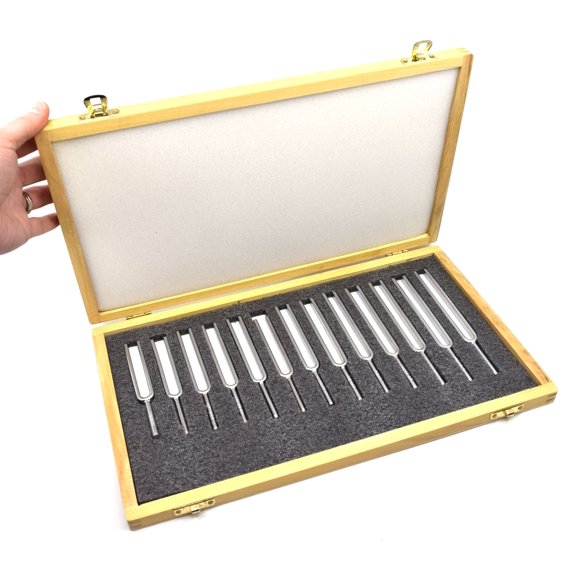 Steel Tuning Fork Set - Set of 13 - In Wooden Case, Designed for Physics experimentation - Eisco Labs