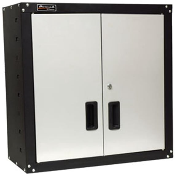 Steel Wall Cabinet With 2 Shelves