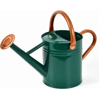 Steel Watering Can Sliver Galvanized Steel Watering Can with Copper Accents,Removable Rosette-Diffuser,One-Gallon Green