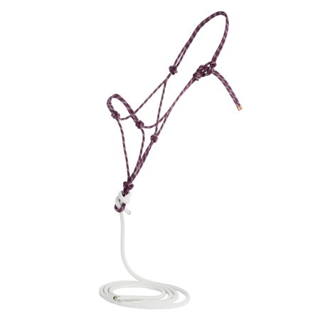 Steele Halters Average Horse Halter with Attached 10ft Lead Rope
