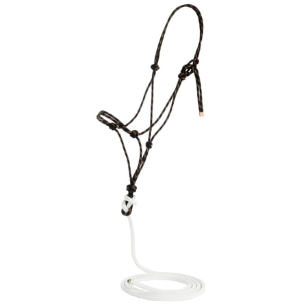Steele Halters Average Horse Halter with Attached 10ft Lead Rope