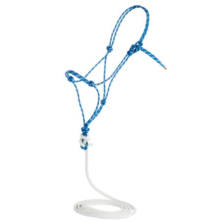 Steele Halters Average Horse Halter with Attached 10ft Lead Rope