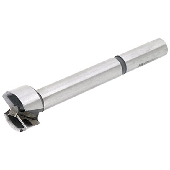 Steelex D2850 13/16-Inch Forstner Bit