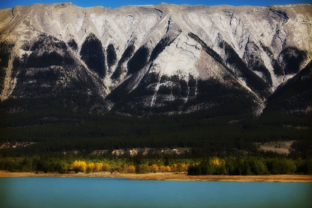 Steep Rock Face Of Mountains Rise Sharply From Forested Flats Of Turquoise Abraham Lake In Autumn Rocky Mountains Alberta Canvas Art - Roberta Murray Design Pics (34 x 22)