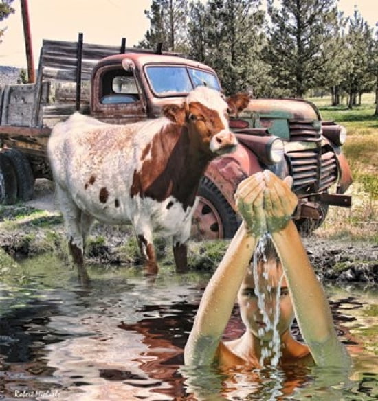 Steer and Old Truck in Terrebonne Canvas Art - Robert Michaels (15 x 16)
