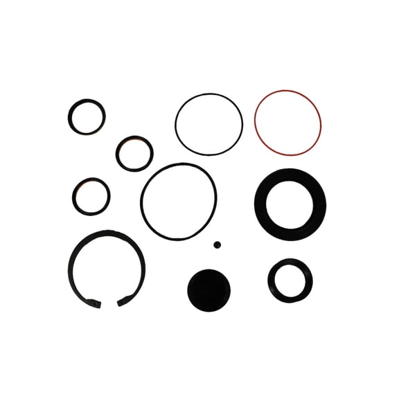 Steering Gear Sector Shaft Seal Kit with Snap Ring/L-Seal Replaces 5545481 2592-443-C 81485545481 8856 RHS 5545481 SHR5545481