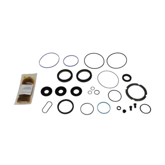 Steering Input & Sector Gear Seal Kit Compatible with Freightliner M2 106 2012 Replaces OEM THP600001 8869
