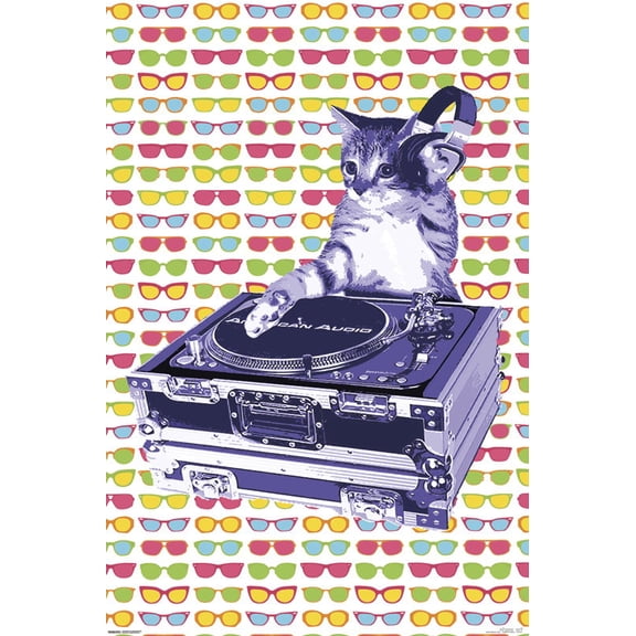Steez - Cat DJ Poster Print (22 x 34)