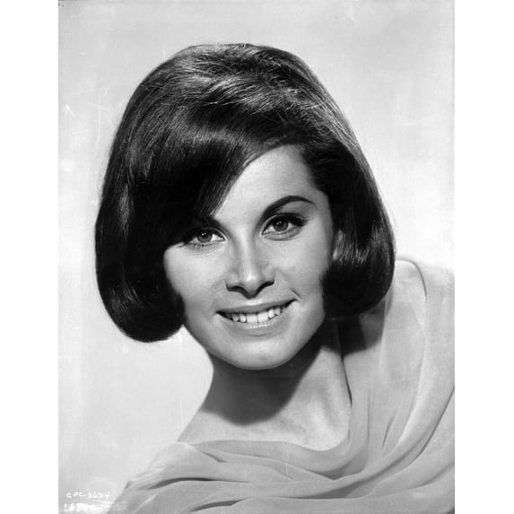 Stefanie Powers smiling in Black and White Close Up Portrait wearing Silk Dress Photo Print (8 x 10)